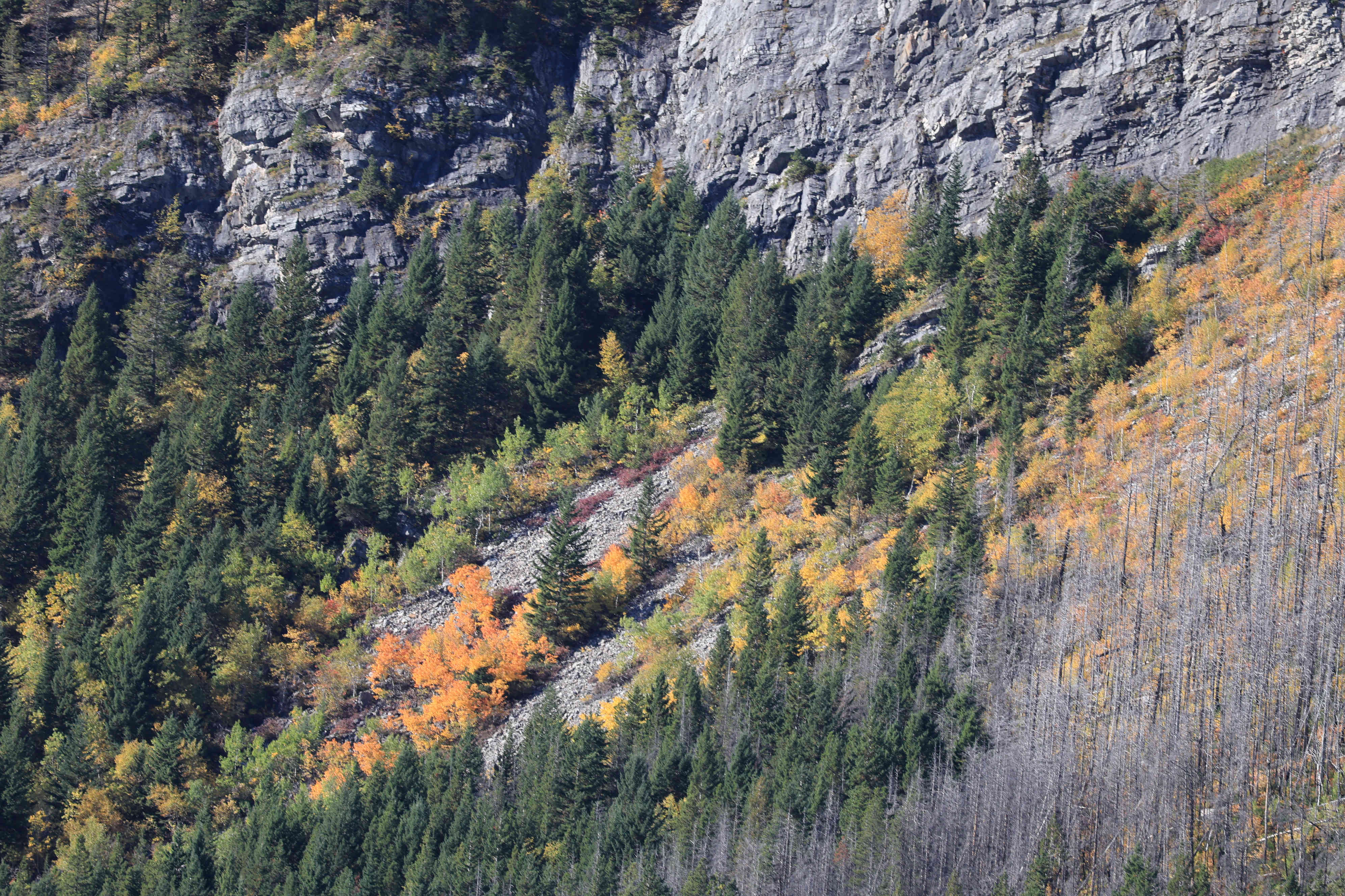Waterton